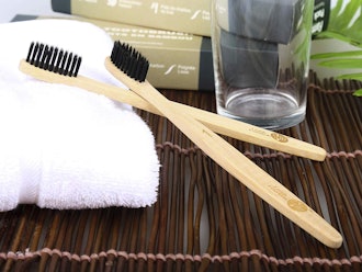 Lavish Essentials Bamboo Toothbrushes (2 Pack)
