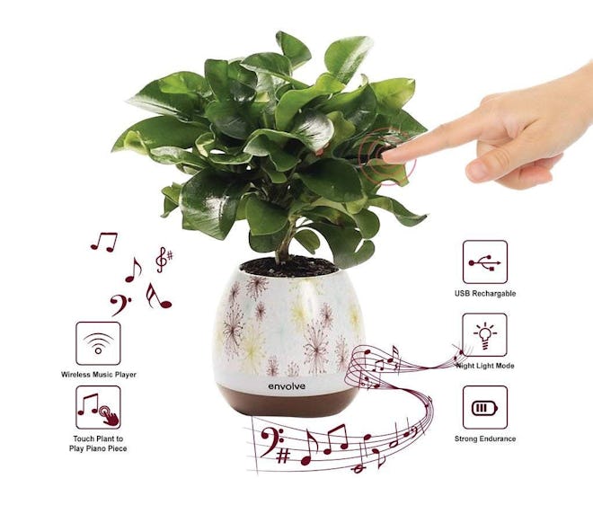 Envolve Music Flower Pot