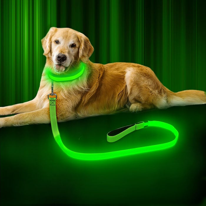 BSEEN LED Dog Leash 