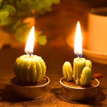 TechUnite Cactus Tea Light Candles (Set of 12)