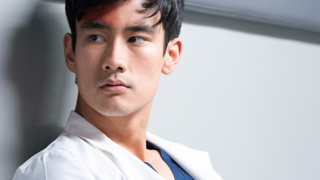 Is Alex Landi Leaving 'Grey's Anatomy'? Nico & Levi Have A Lot To Talk  About In The Season 15 Finale