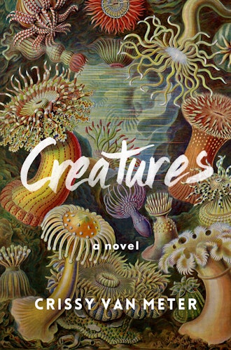 'Creatures' by Crissy Van Meter