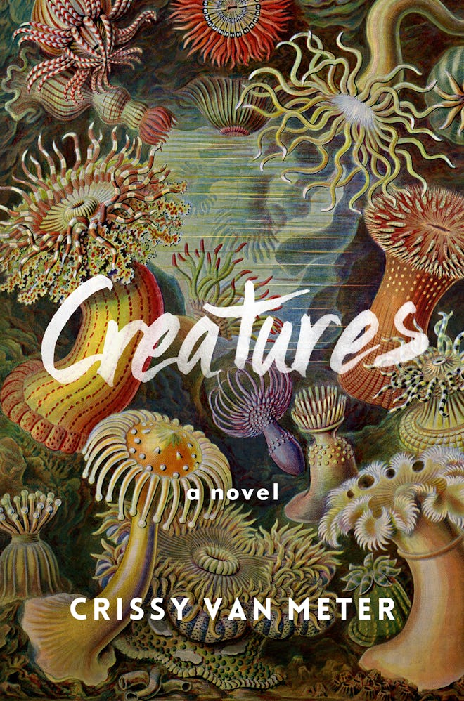 'Creatures' by Crissy Van Meter