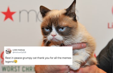 holiday grumpy cat meme