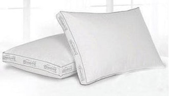 Beautyrest Power Extra-Firm Pillow (2-Pack)
