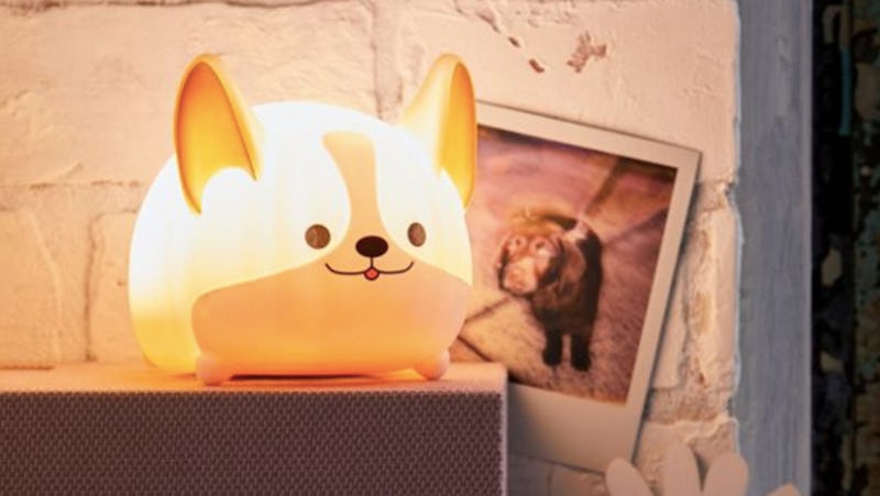 Corgi night light deals