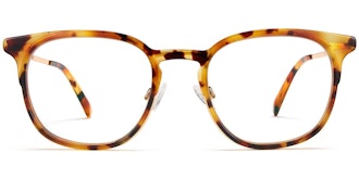 Jenkins in Canyon Tortoise with Gold