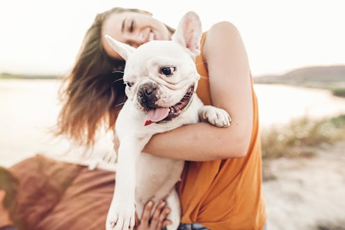 Best Dog Sunscreen