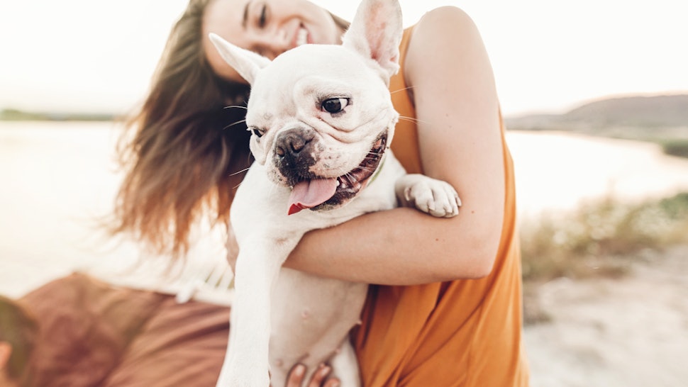 How To Dog-Proof Your Apartment, If You're Getting A Pup For The First Time