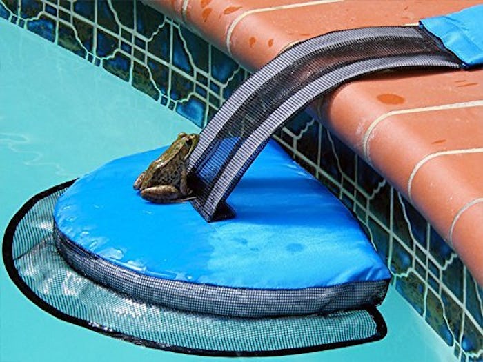 FrogLog Animal Escape Pool Ramp 