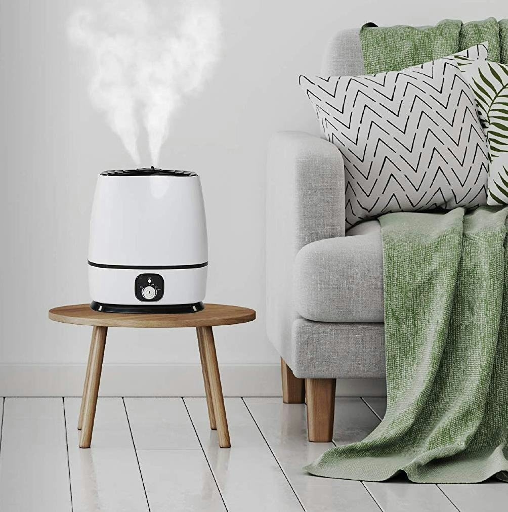 The 5 Best Humidifiers For Sinus Problems
