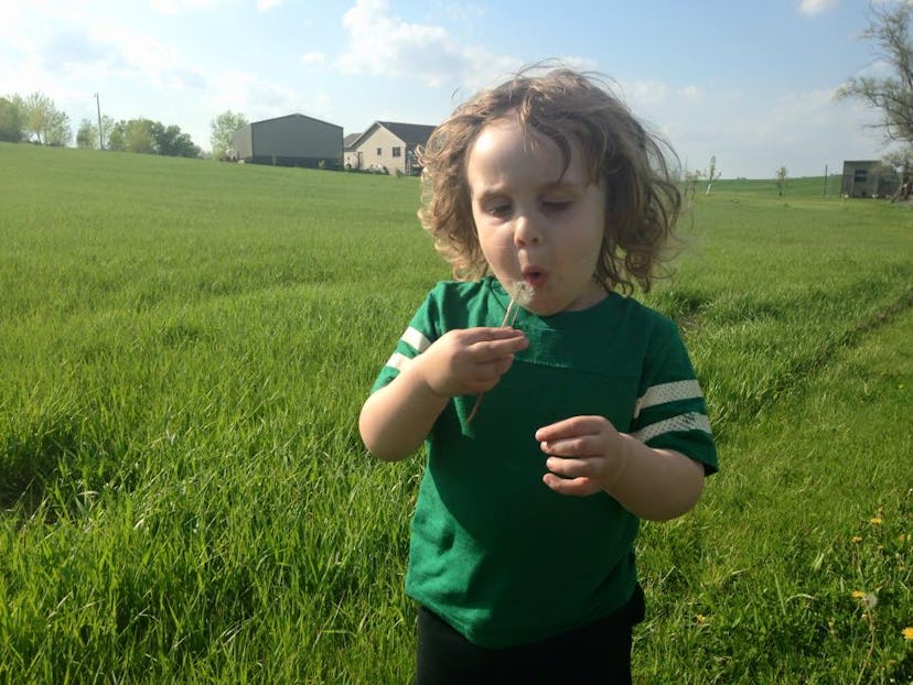 A little child blowing into a dandelion in a grass field