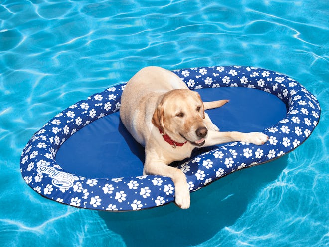 SwimWays Spring Float Paddle Paws Dog Pool Float, Large