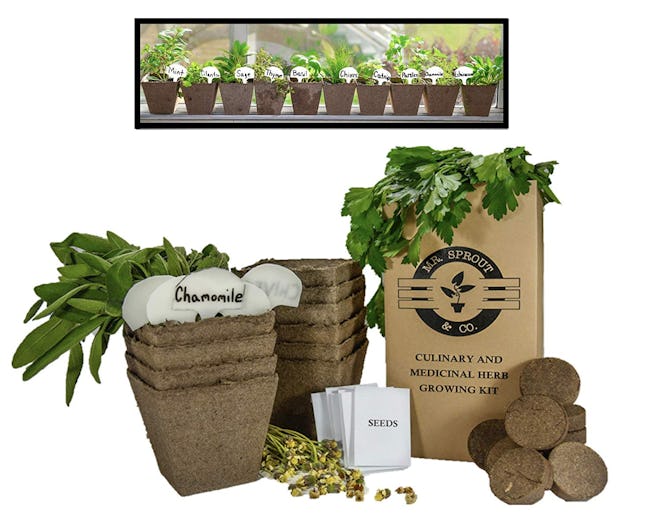 Medicinal and Culinary Herb Garden Kit