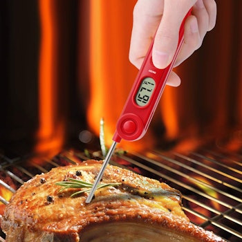 ThermoPro Digital Thermometer 