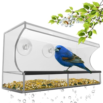 Window Bird Feeder 