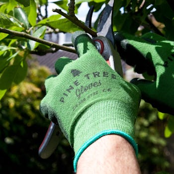 Pine Tree Tools Bamboo Working Gloves