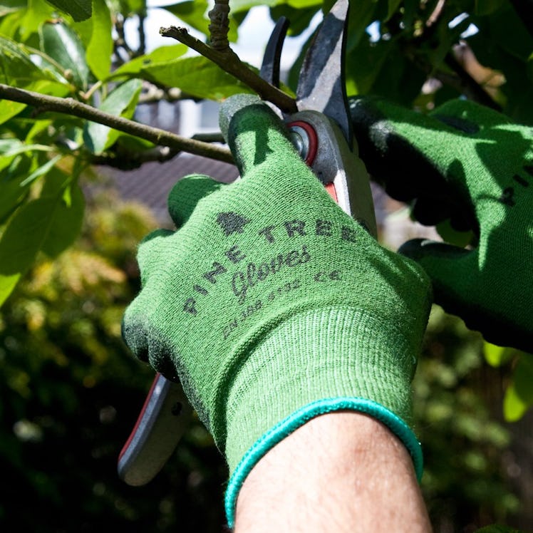 Pine Tree Tools Bamboo Working Gloves