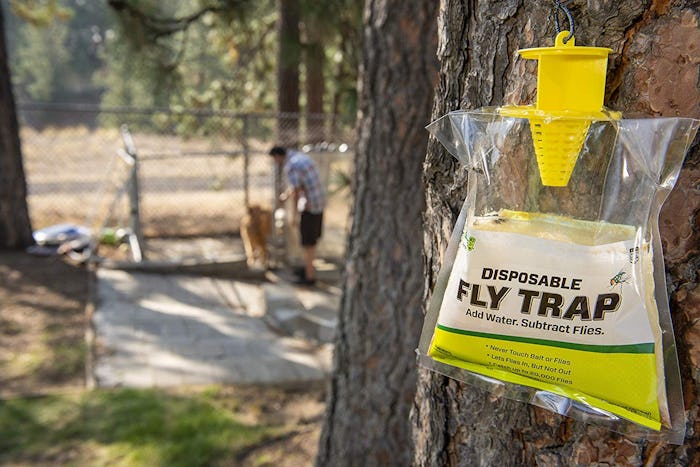 Rescue Disposable Non-Toxic Fly Trap