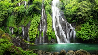 A waterfall spot in a rainforest 