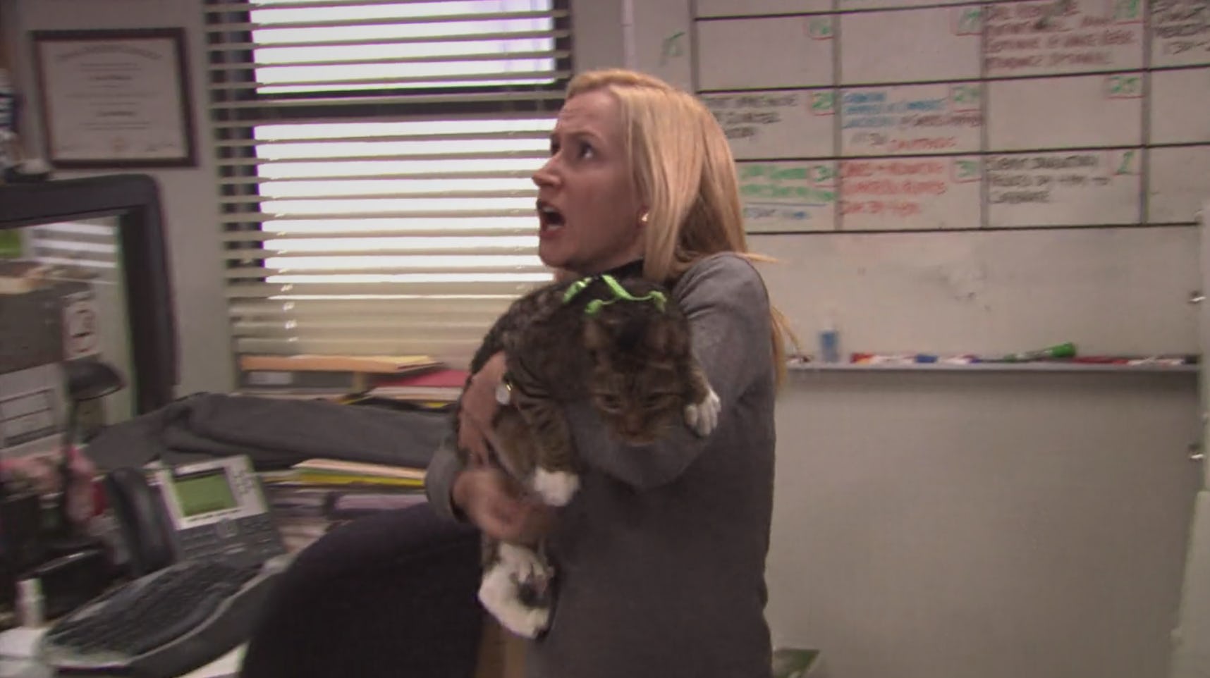 The Office Stars Angela Kinsey Brian Baumgartner Break Down 6
