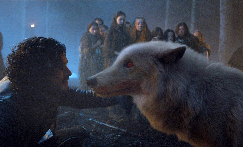 Jon Snow Gave Ghost To Tormund On Game Of Thrones Because A Wolf