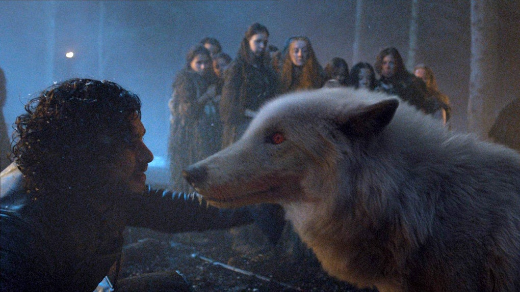 Jon Snow Gave Ghost To Tormund On Game Of Thrones Because A Wolf