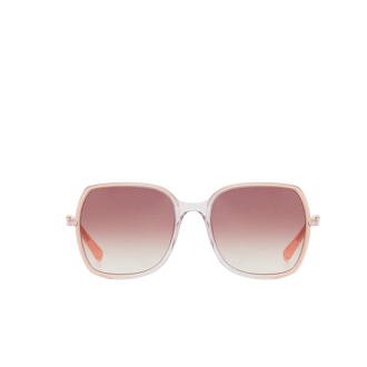 Sunglasses in Acetate and Metal