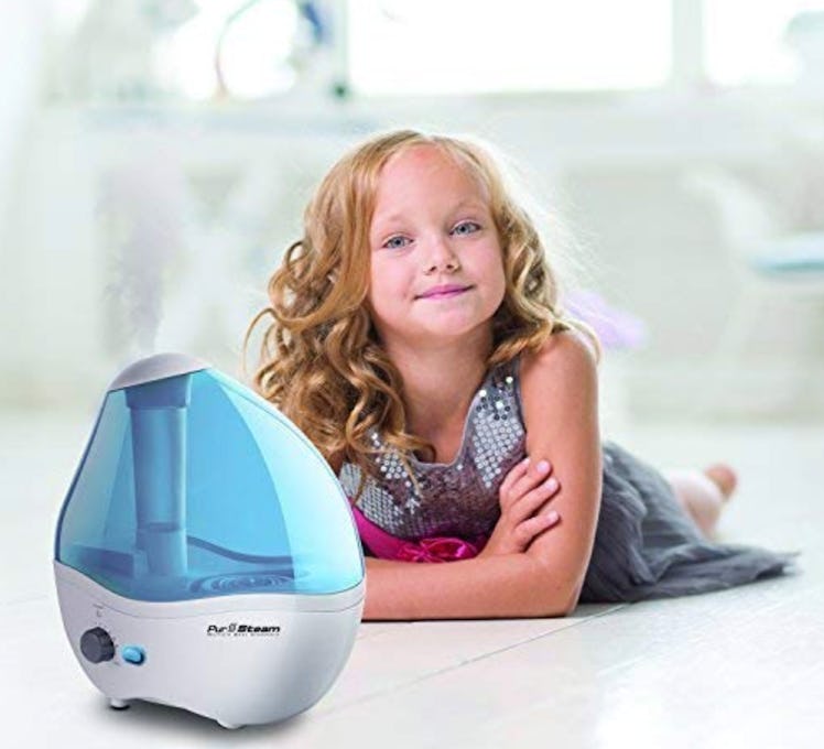 PurSteam World's Best Steamers Humidifier