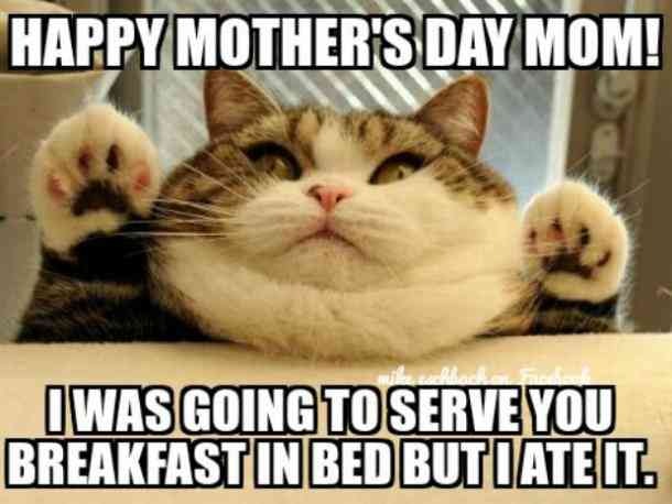 Image result for funny mothers day memes