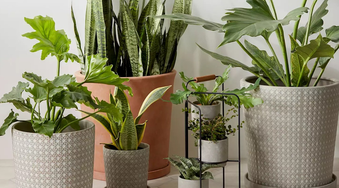 10 Mother S Day Gift Ideas From Target You Still Have Time To Ship