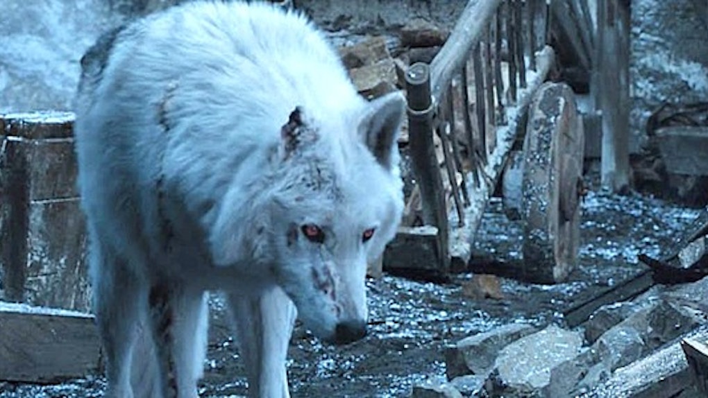 Ghost Jon Snow S Goodbye On Game Of Thrones Didn T Happen For