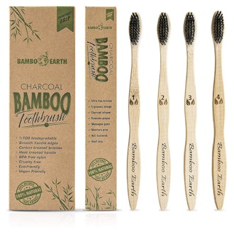 Bamboo Earth Charcoal Toothbrush (4 Pack)