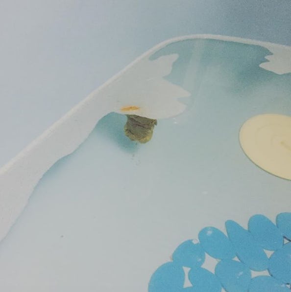 Poop In The Bath Tub Is A *Gift*