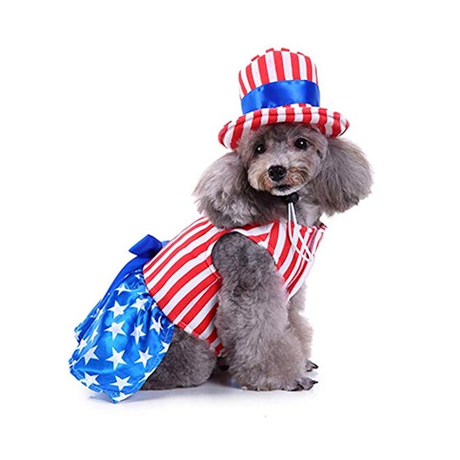 Dog Costume USA Flag Style