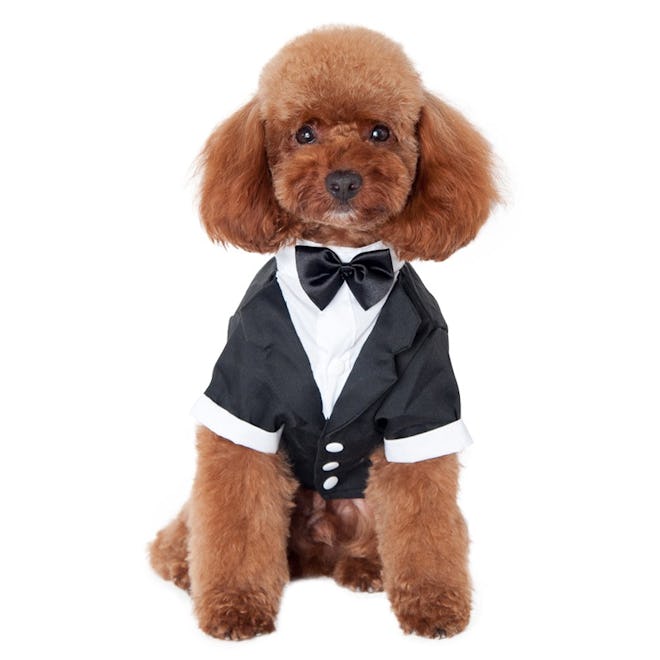 Wedding Shirt Formal Tuxedo With Bow Tie