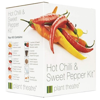 Plant Theatre Hot Chilli & Sweet Pepper Kit Gift Box