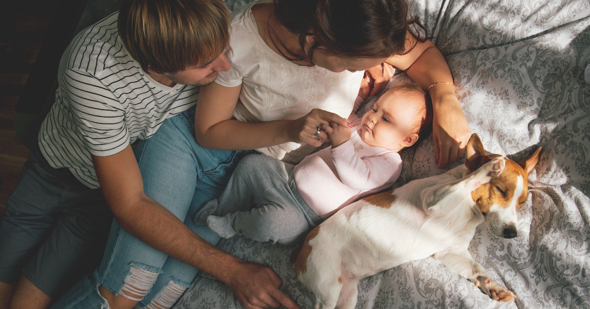 Is Dog Hair Safe For Newborns? A Pediatrician Weighs In