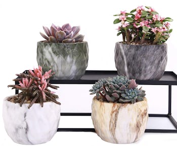 winemana Ceramic Succulent Planters (Set of 4)