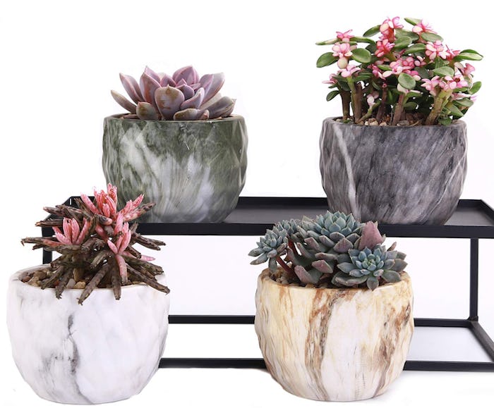 winemana Ceramic Succulent Planters (Set of 4)