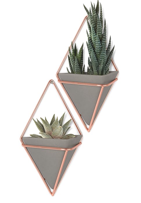 Umbra Hanging Planters (Set of 2)