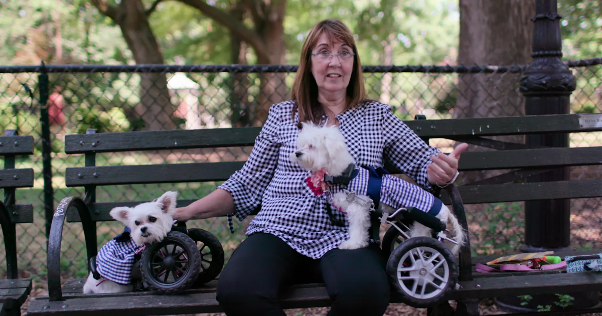 Two Dogs Show Netflix’s ‘Dogs’ Season 2 Is Officially Happening & Your Pup Could Star ...