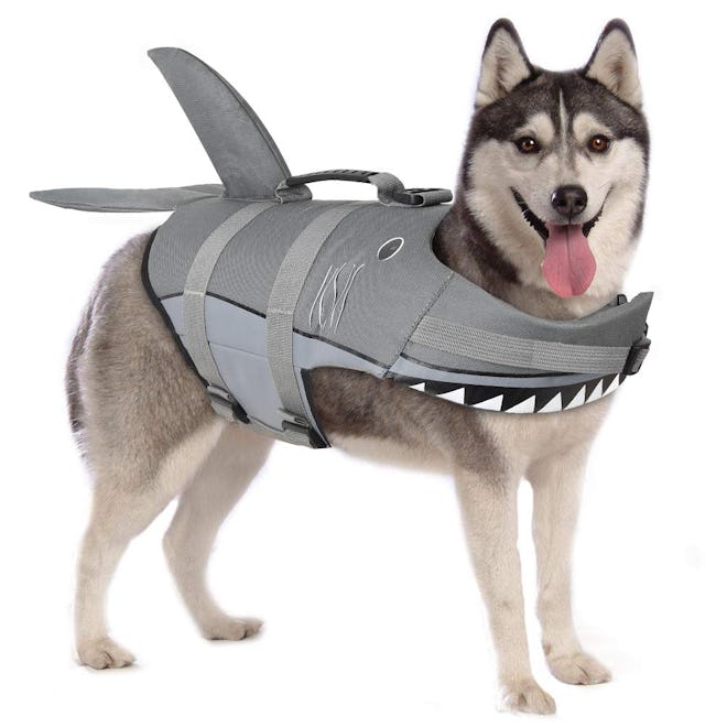 Petacc Shark Dog Life Preserver