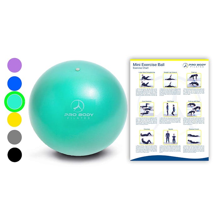 ProBody Pilates Mini Exercise Ball 