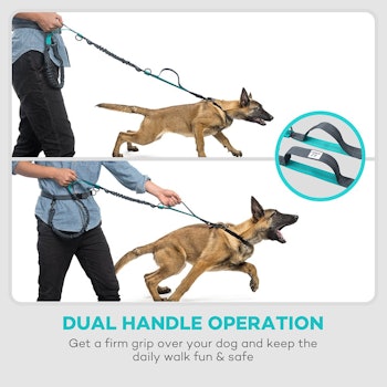 TaoTronics Hands-Free Dog Leash