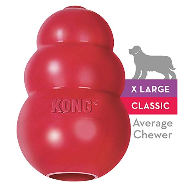 Kong Classic Dog Toy