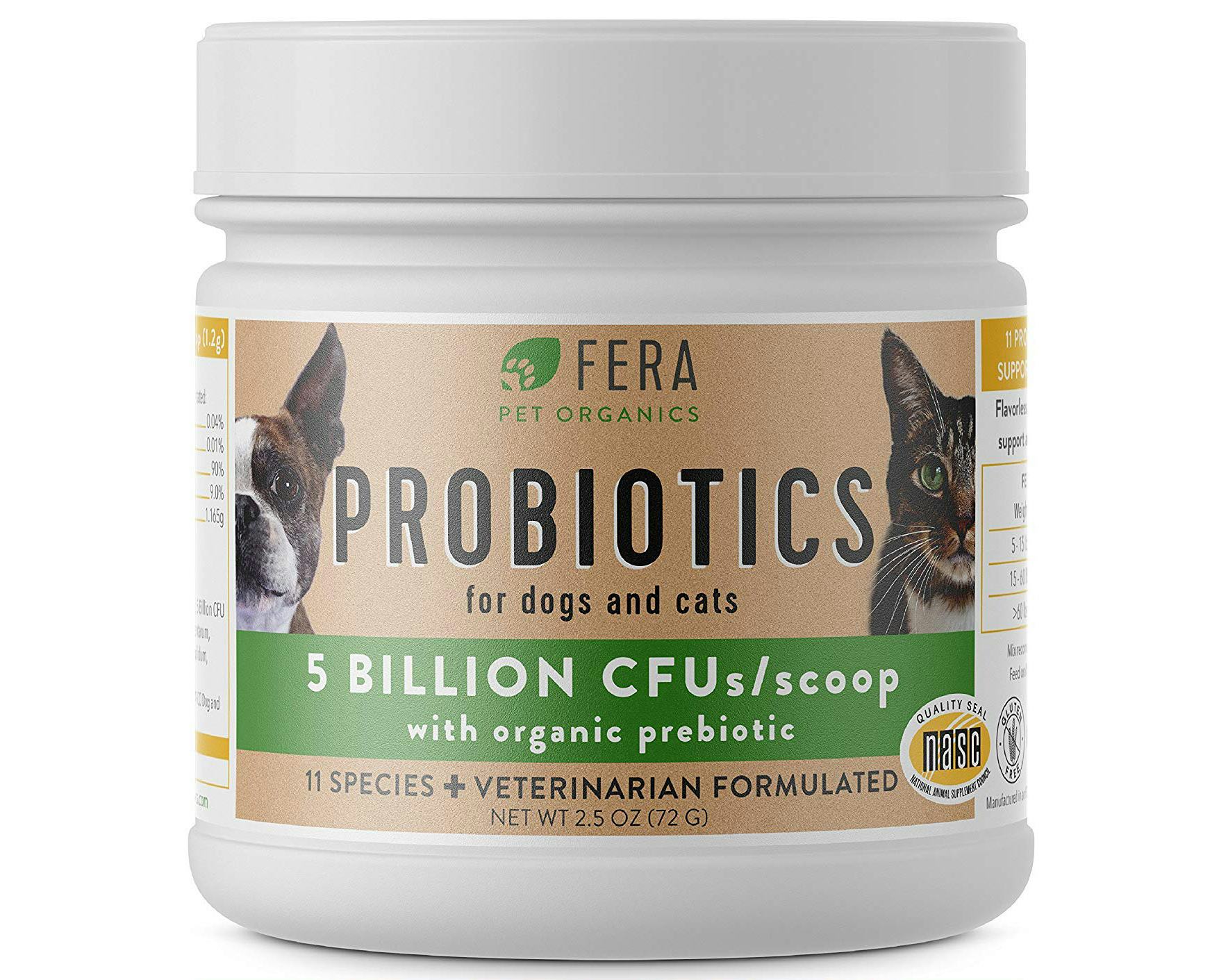 The 3 Best Probiotics For Cats