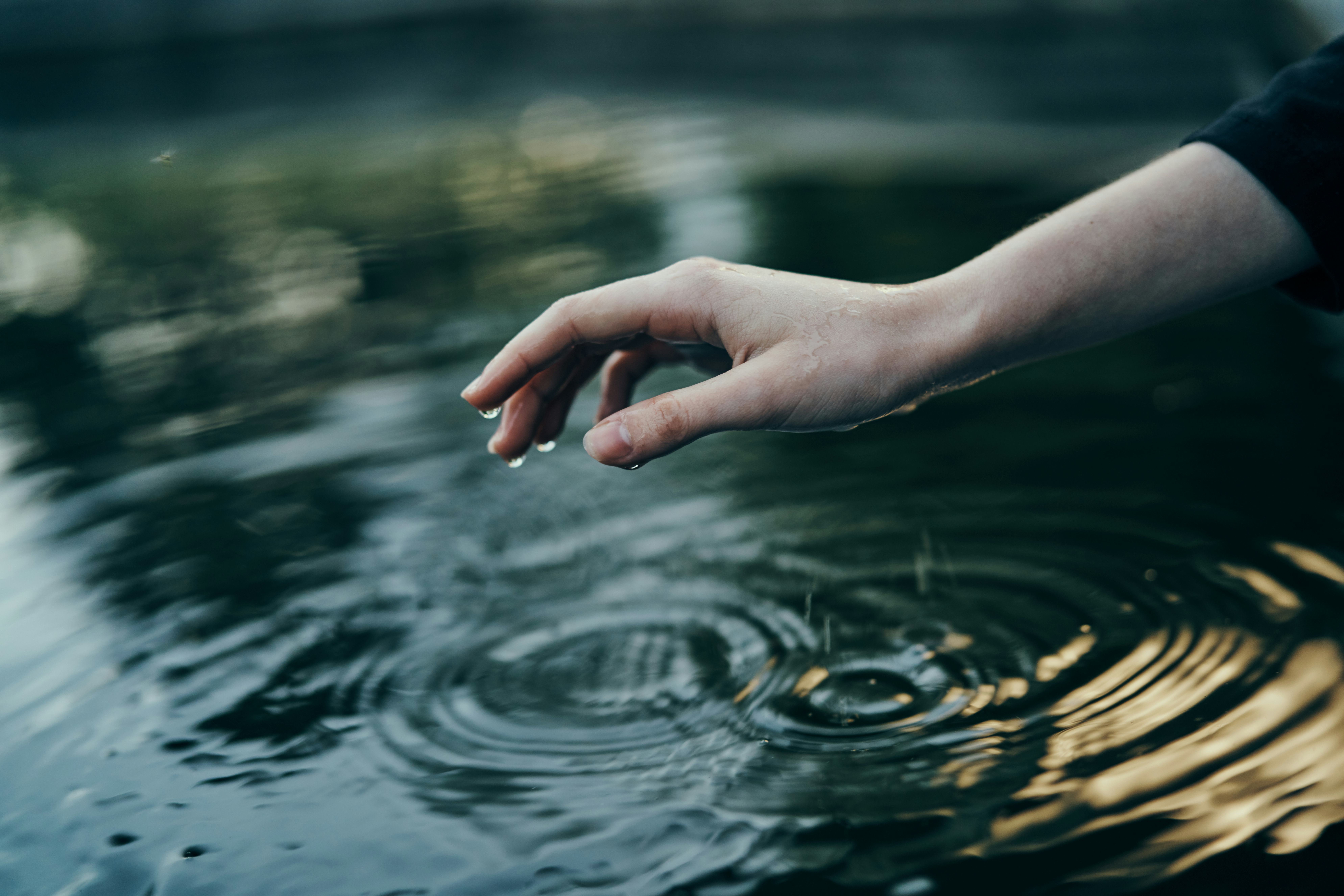 7 Omens In Dreams That Mean You're Going To Have Career Success