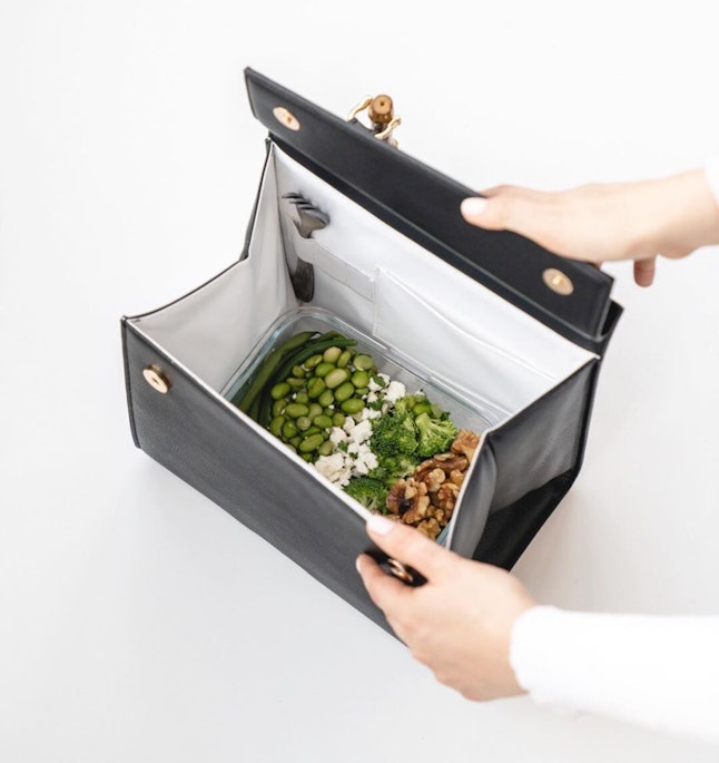 modern picnic lunch bag dupe