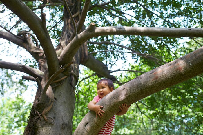 Gemini baby climbing on a tree